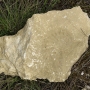 2014_03_30 - Trace de fossile au Puech